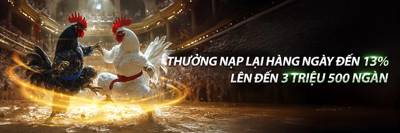 Đá Gà 10/4/2020 - Trận Đấu Kịch Tính